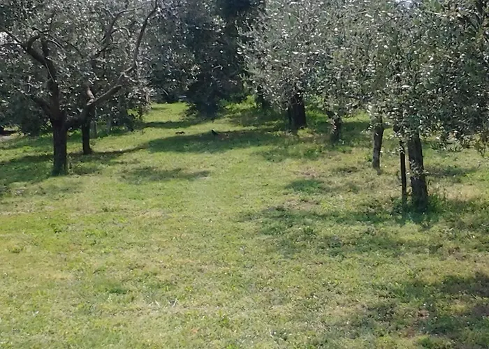 Corte Galvani