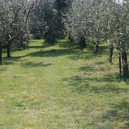 Agriturismo Corte Galvani